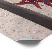 pepers poster (Hoek)