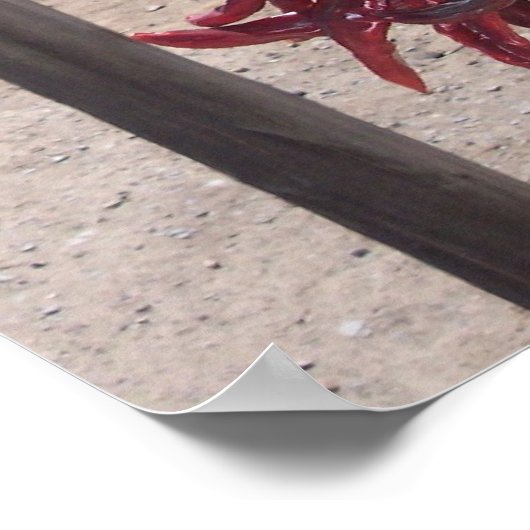 pepers poster (Hoek)