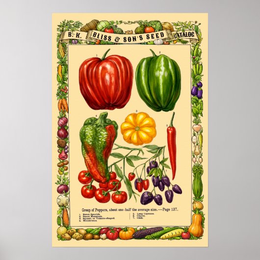 Pepervariëteiten Retro Victoriaans tijdperk Botani Poster (Voorkant)