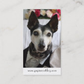 PepiSmartDog-Visitekaartjes (5) Visitekaartje (Achterkant)