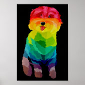 Pepita Rainbow-Poster Poster (Voorkant)