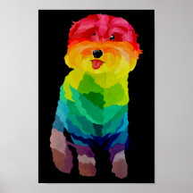 Pepita Rainbow-Poster