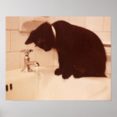 Pepper Black Cat Antiek Bathroom Poster (Voorkant)