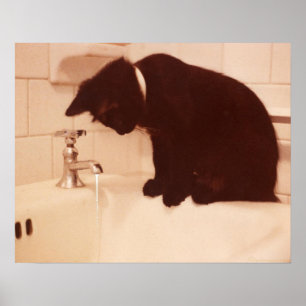 Pepper Black Cat Antiek Bathroom Poster