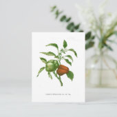 Pepper Briefkaart (Staand voorkant)