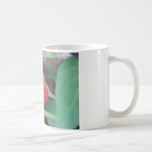Pepper Garden Mix Koffiemok (Rechts)