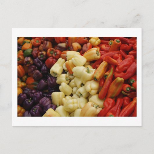 Pepper-gezin Briefkaart (Voorkant)