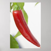 Pepper Poster (Voorkant)