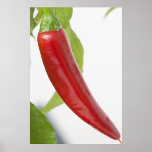 Pepper Poster