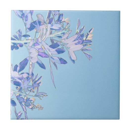 Pepper Tree Bleek Pastel Blue Tegeltje (Voorkant)