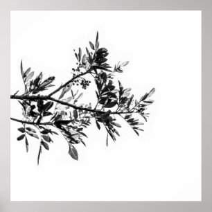 Pepper Tree Bloemen Bladeren Natuur Poster