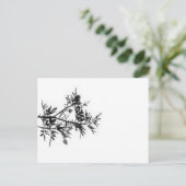Pepper Tree Flowers laten Natuur Briefkaart (Staand voorkant)