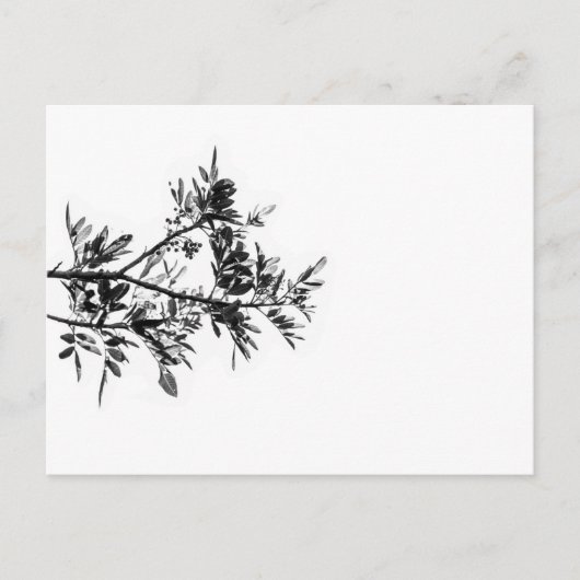 Pepper Tree Flowers laten Natuur Briefkaart (Voorkant)