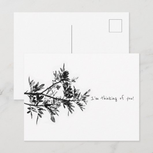 Pepper Tree ik denk aan je Briefkaart (Voorkant / Achterkant)