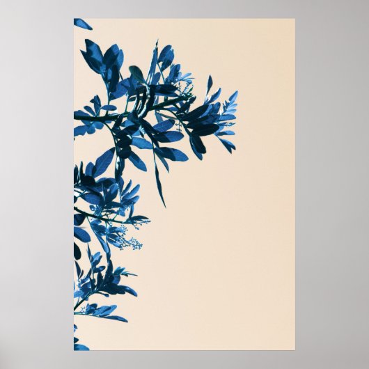 Pepper Tree laat Natuur minimalistisch Poster (Voorkant)