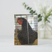 Peppered Chicken Briefkaart (Staand voorkant)