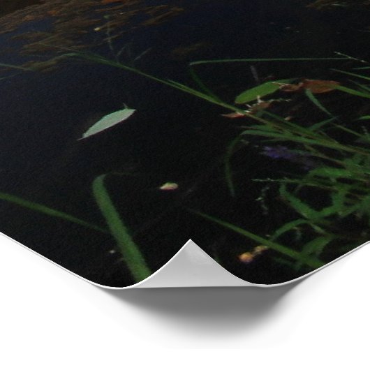 Pepperell MA New Covered Bridge River Uitzicht Poster (Hoek)