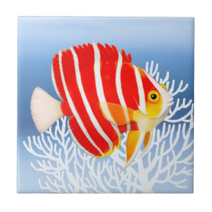 Peppermint Angelfish Tile Tegeltje