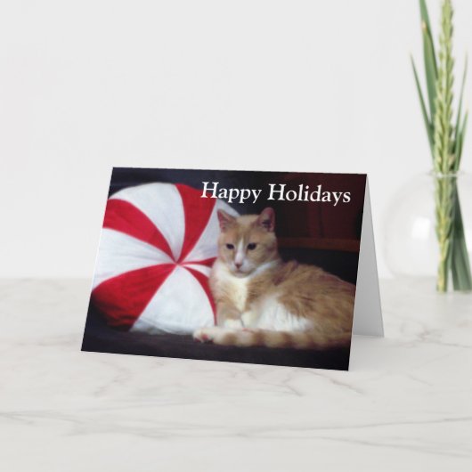 Peppermint Cat Holiday Greeting Kaart (Voorkant)