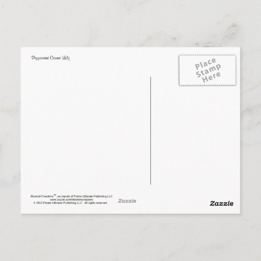 Peppermint Crinum Lily Briefkaart (Achterkant)