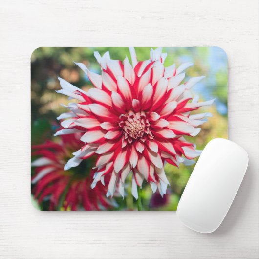 Peppermint Dahlia Mousepad Muismat (Met muis)