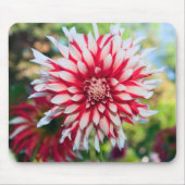 Peppermint Dahlia Mousepad Muismat (Voorkant)