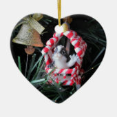 Peppermint Skunk Wagon Keramisch Ornament (Voorkant)
