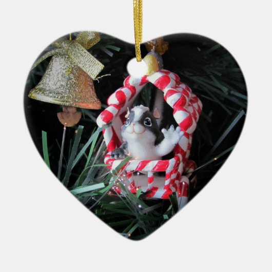 Peppermint Skunk Wagon Keramisch Ornament (Voorkant)