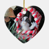 Peppermint Skunk Wagon Keramisch Ornament (Achterkant)