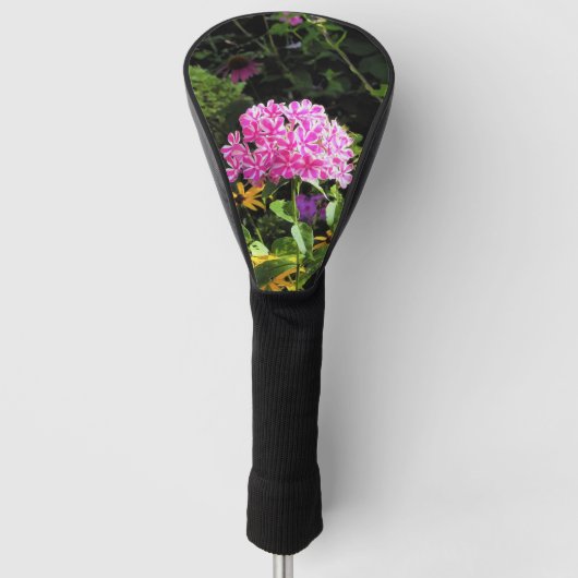 Peppermint Twist Phlox in de onderste tuin Golfheadcover (Voorkant)