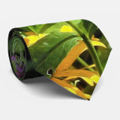 Peppermint Twist Phlox in de onderste tuin Stropdas (Opgerold)