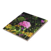 Peppermint Twist Phlox in de onderste tuin Tegeltje (Zijkant)