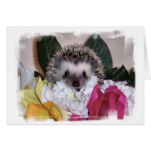 Pepperpot de Egel (Voorkant Horizontaal)