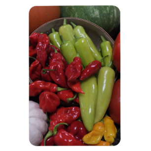 Peppers N Veggies Magnet Magneet