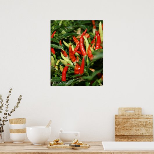 Peppers Poster (Keuken)