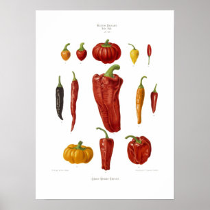 Peppers Poster