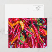 Peppers van warmtekrachtkoppeling op de markt voor briefkaart (Voorkant / Achterkant)