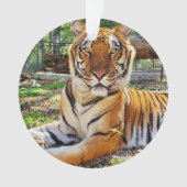 Pepsi - ornament (voorkant)