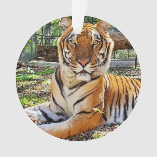 Pepsi - ornament (voorkant)