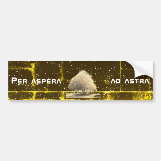 Per aspera ad astra bumpersticker (Voorkant)