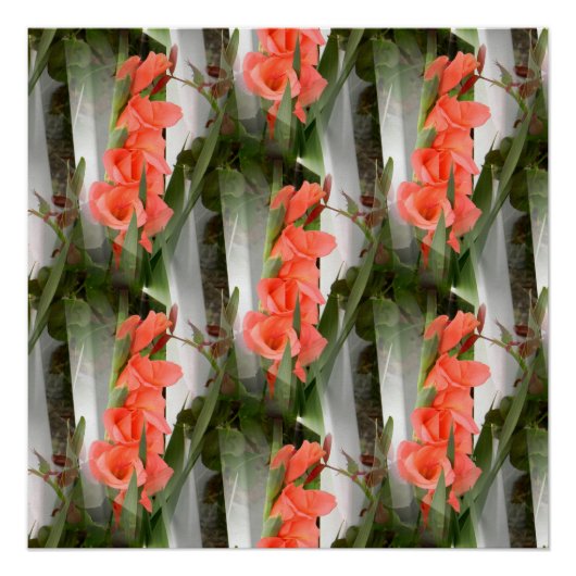 Perachtigheid.... Poster (Voorkant)