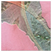 Perachy.... Stof (Close Up)