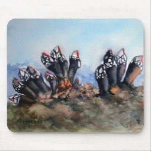 Percelen/Barnacles Muismat