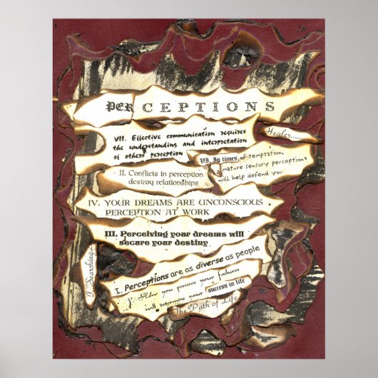 Perceptie Poster (Voorkant)