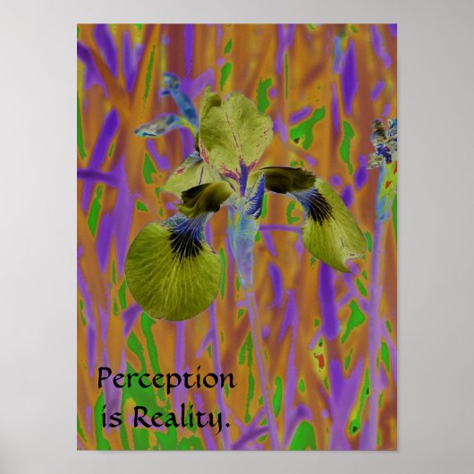 Perception is Reality Poster-Iris Poster (Voorkant)
