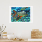 Perch Poster (Keuken)