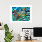 Perch Poster (Thuiskantoor)