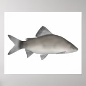 Perch Poster (Voorkant)