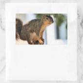 Perch Rechthoekige Sticker (Tas)