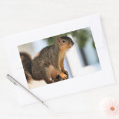 Perch Rechthoekige Sticker (Envelop)